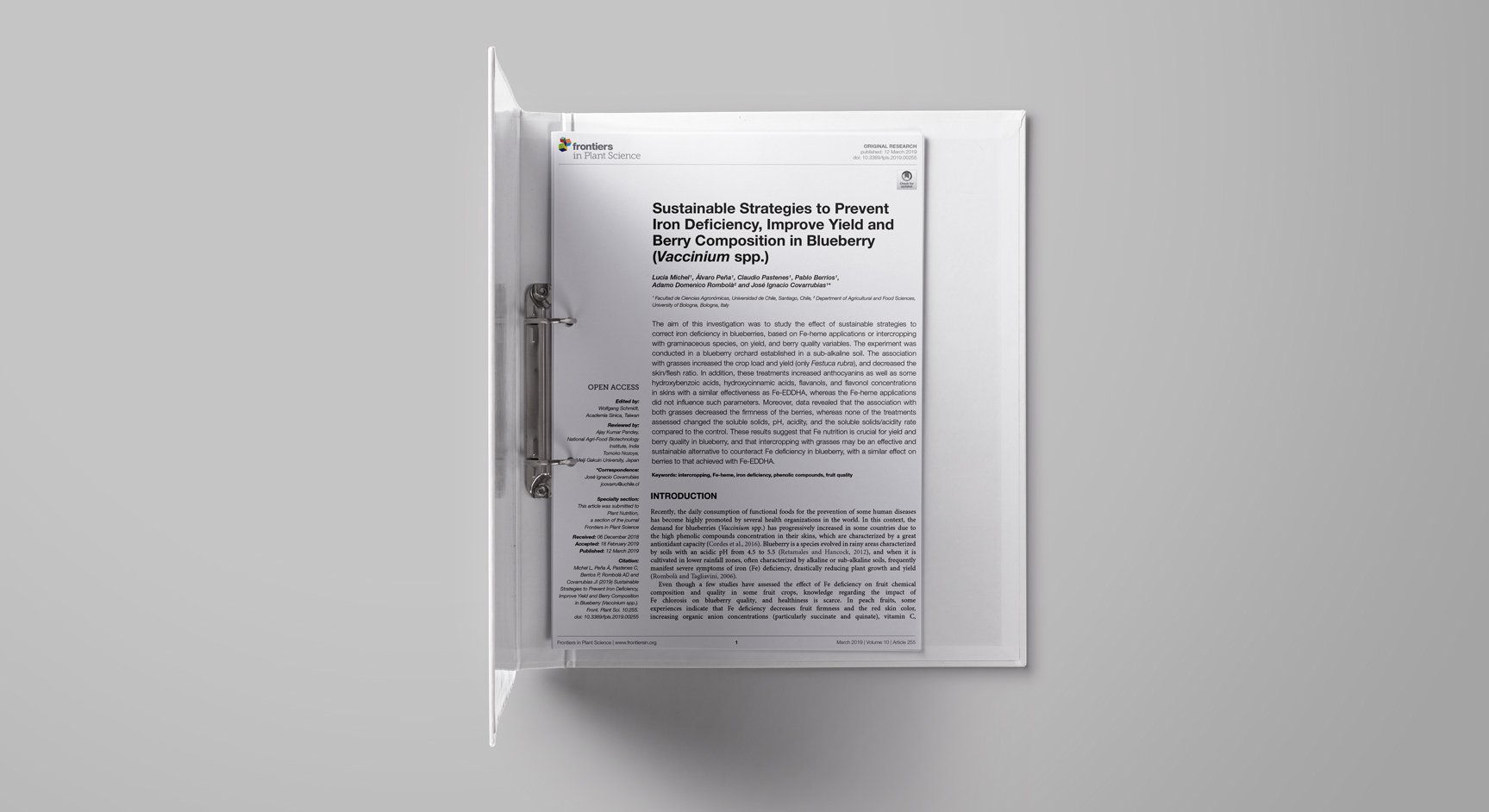 Sustainable Strategies to Prevent Iron Deficiency, Improve Yield and