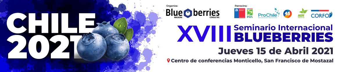 Marquesina del evento