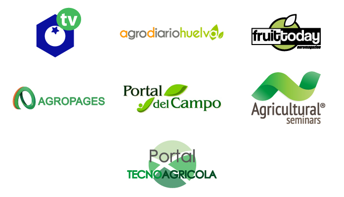 Logos-2020-pagina-web-marruecos-mp