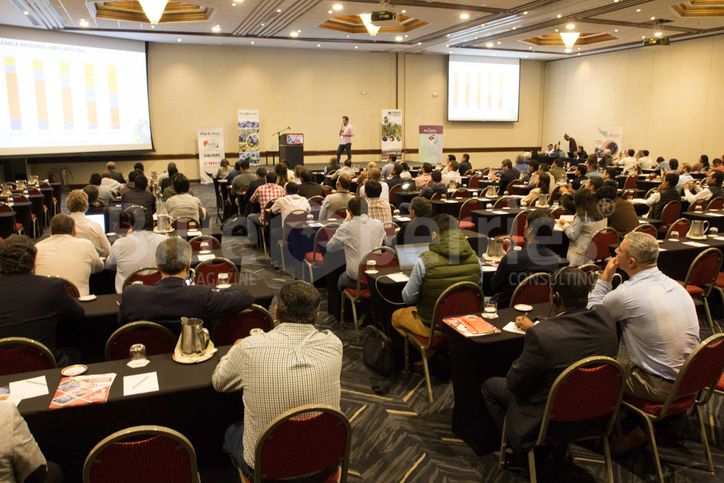 seminario-peru-2019-6