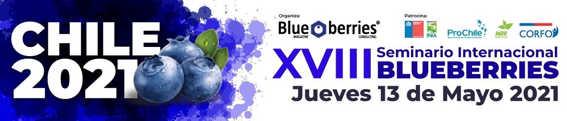 Marquesina del evento