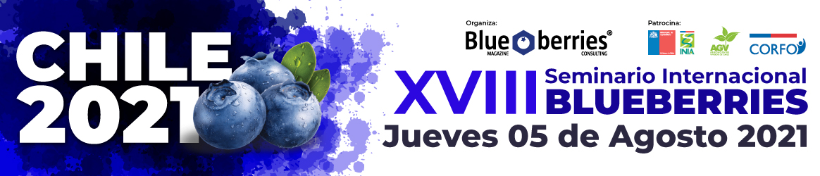 Marquesina del evento