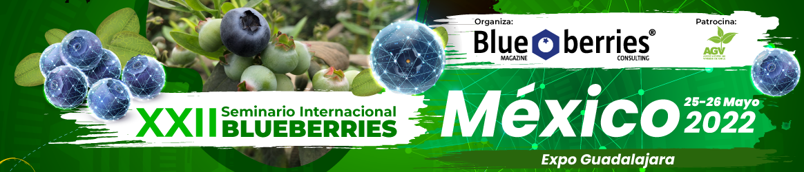 Marquesina del evento