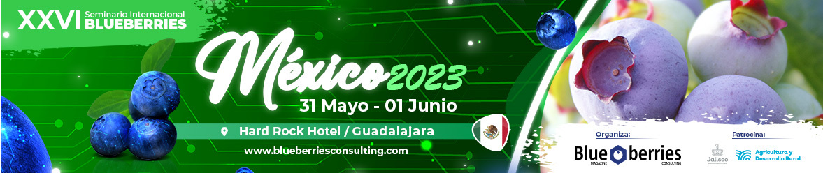 Marquesina del evento