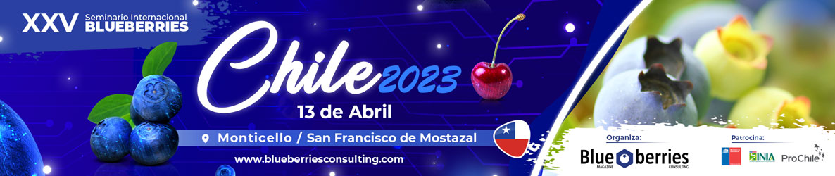 Marquesina del evento