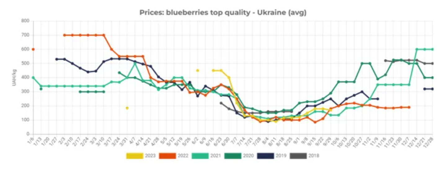 Blueberries from Ukraine indepth analysis of prices, production and