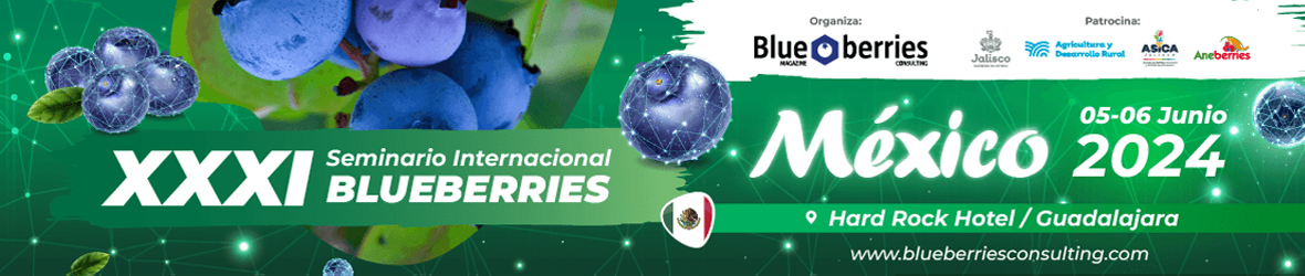 XXXI Seminario M xico 2024 Blueberries Consulting