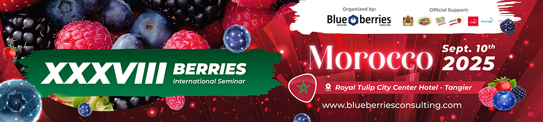 Marquesina del evento