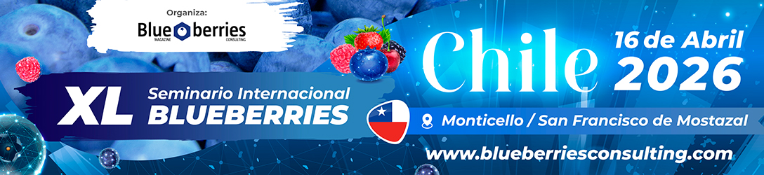 Chapiteau événementiel