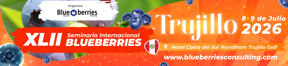 Chapiteau événementiel