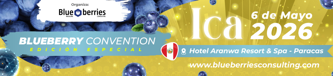 Marquesina del evento