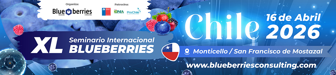 Chapiteau événementiel