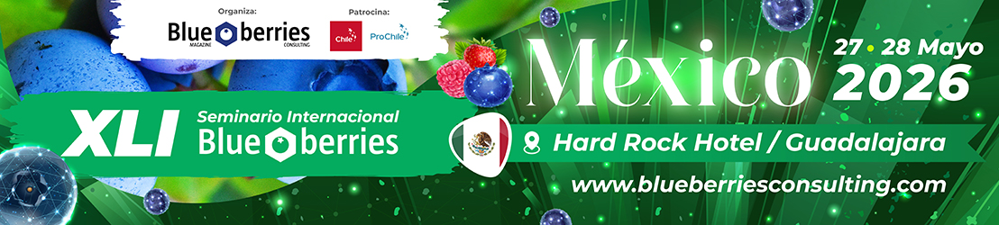 Marquesina del evento