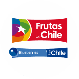 Frutas de chile (Blueberries)