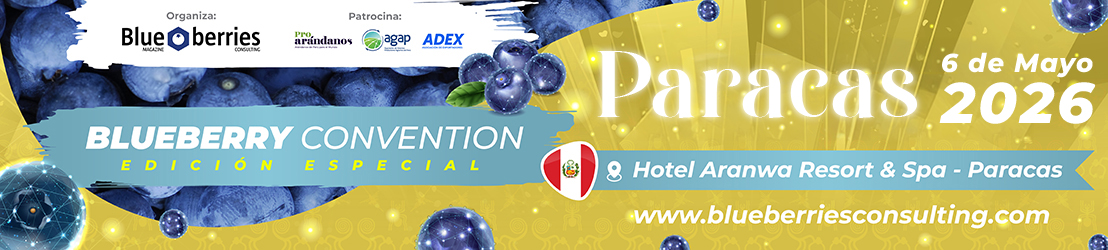 Marquesina del evento