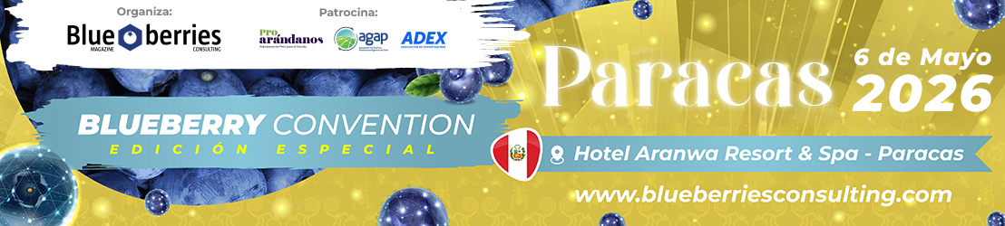 Marquesina del evento