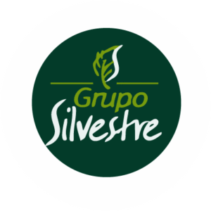 Grupo Silvestre