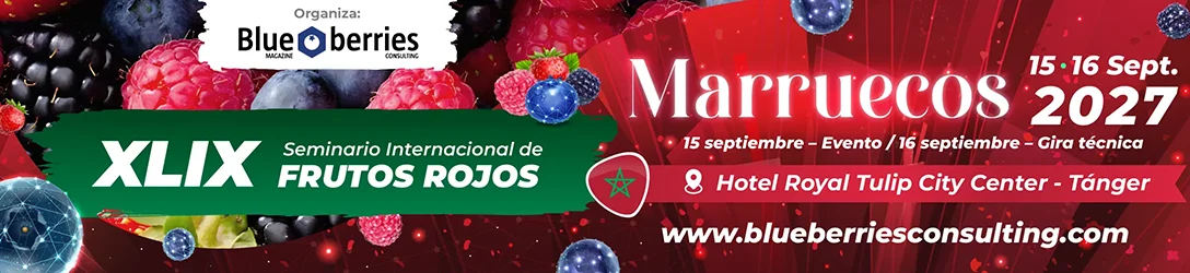 Marquise de eventos