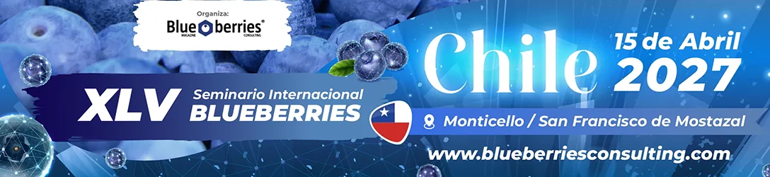 Marquesina del evento