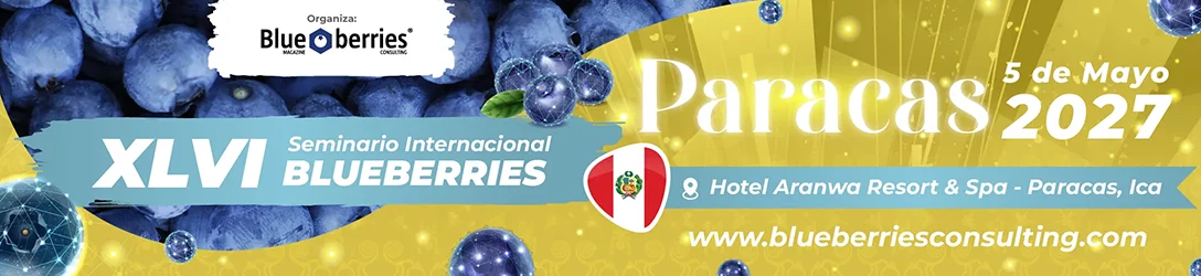 Marquesina del evento