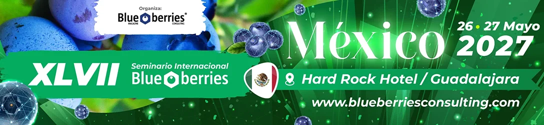 Marquesina del evento